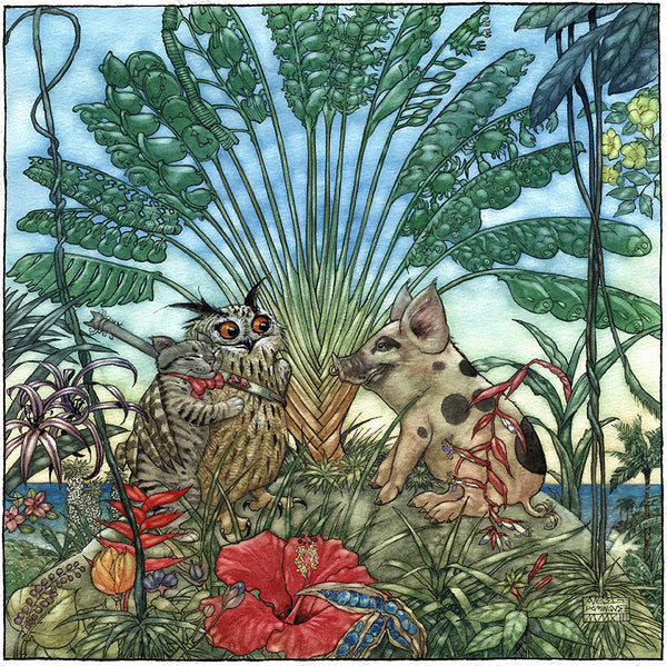Purr & Feather Limited Edition Book