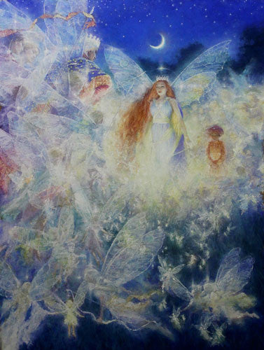 A Midsummer Night's Dream - Signed Collectors Edition