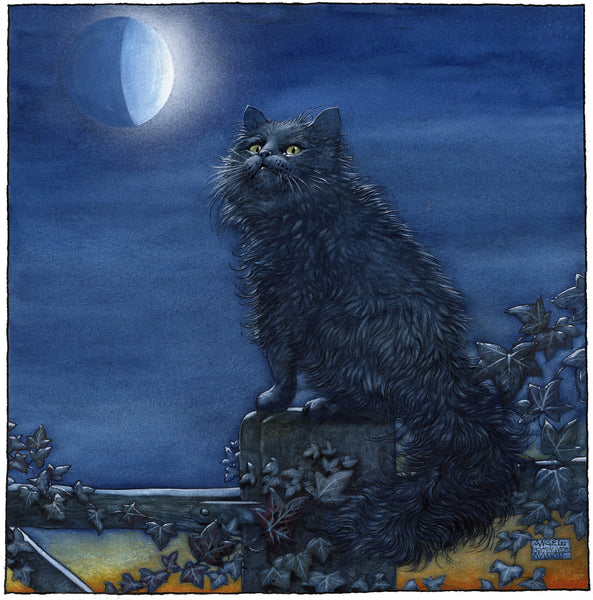 The Cat and the Moon- Limited Edition Print – Art of the Imagination