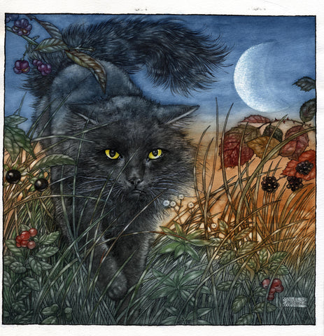 Minnaloushe creeps through the Grass - Limited Edition Print