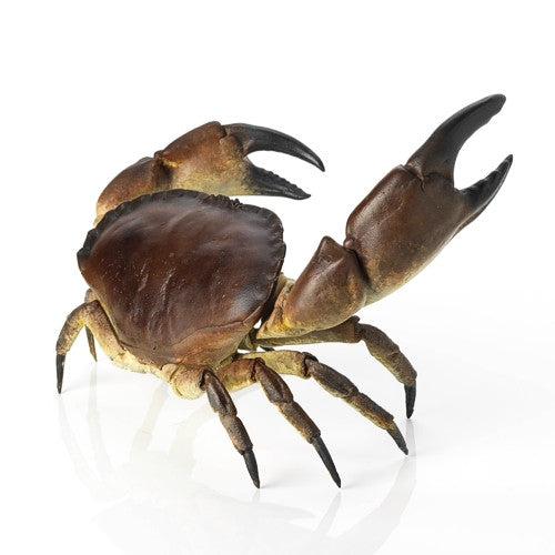 Missed a Clause - Limited Edition Bronze Crab