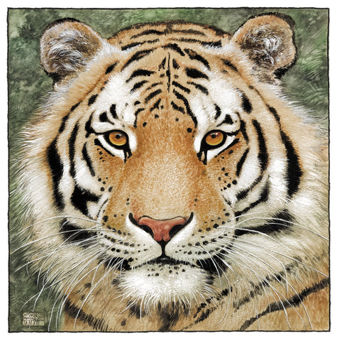 Tyger Tyger, burning bright - Limited Edition Print