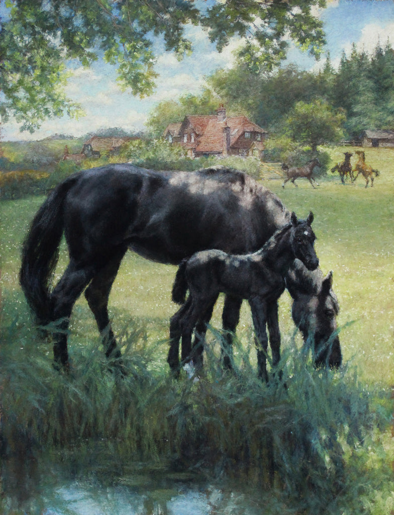 My Early Home: Black Beauty by Christian Birmingham